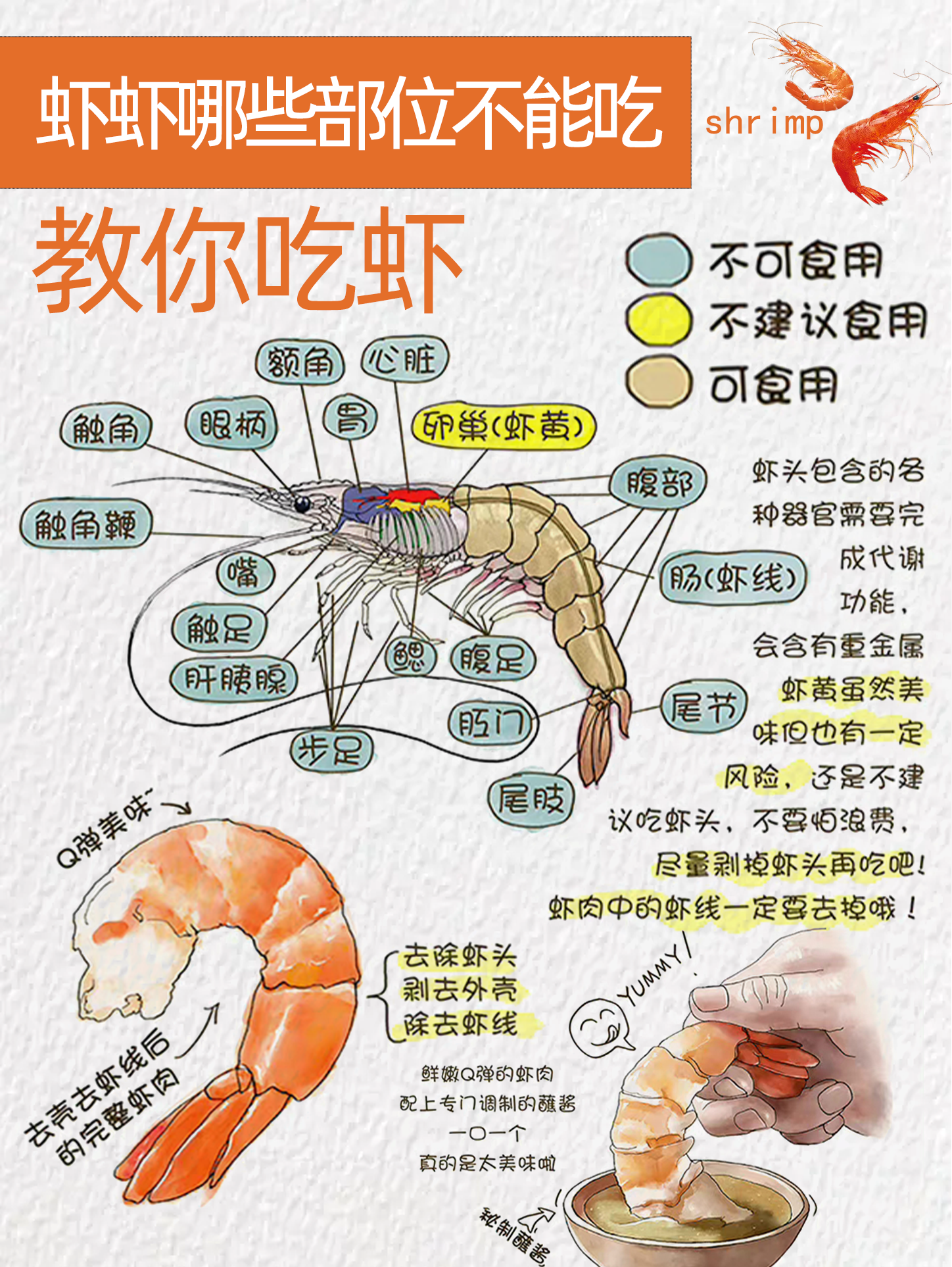 虾不能和什么同食