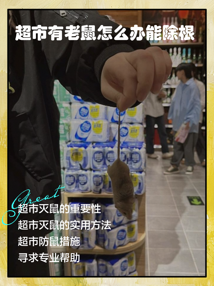 电脑之家下载